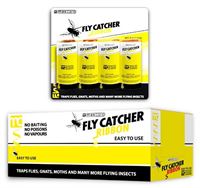 Fly Catchers 4's x 6pk