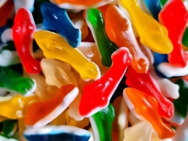 GUMMY COLOURFUL SHARKS 2KG