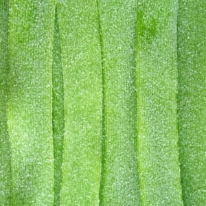Sour Apple Belts 210pcs