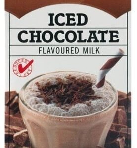 500ml CHOCOLATE Iced Nippy's